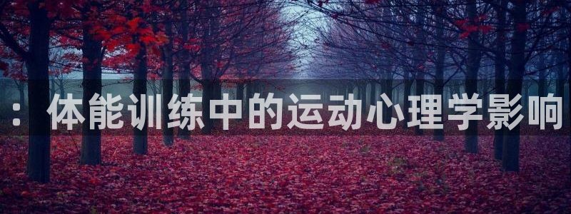 米兰体育下载：：体能训练中的运动心理学影响