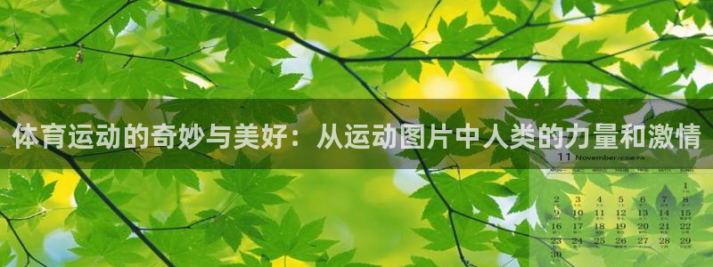 米兰体育网页版：体育运动的奇妙与美好：从运动图片中人类的力量和激情