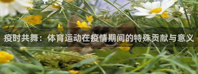 米兰体育官方下载入口：疫时共舞：体育运动在疫情期间的特殊贡献与意义