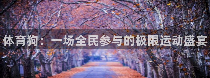 米兰体育网页版：体育狗：一场全民参与的极限运动盛宴
