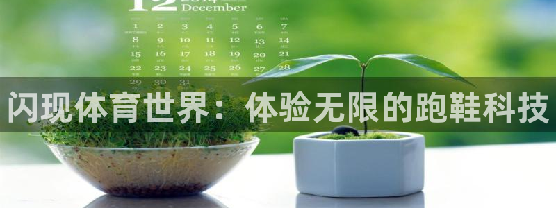 米兰体育综合官网：闪现体育世界：体验无限的跑鞋科技
