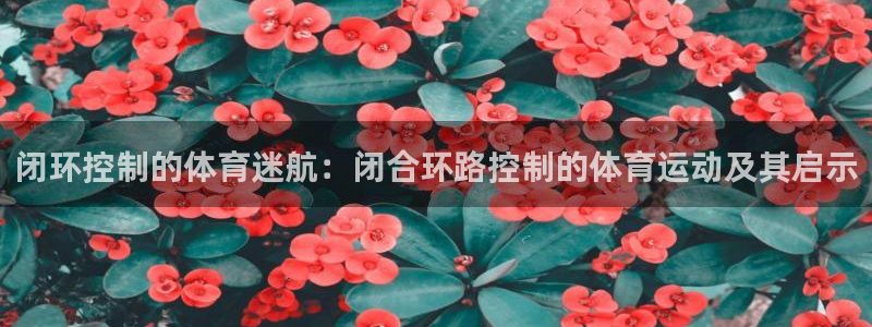 米兰体育最新版下载：闭环控制的体育迷航：闭合环路控制的体育运动及其启示