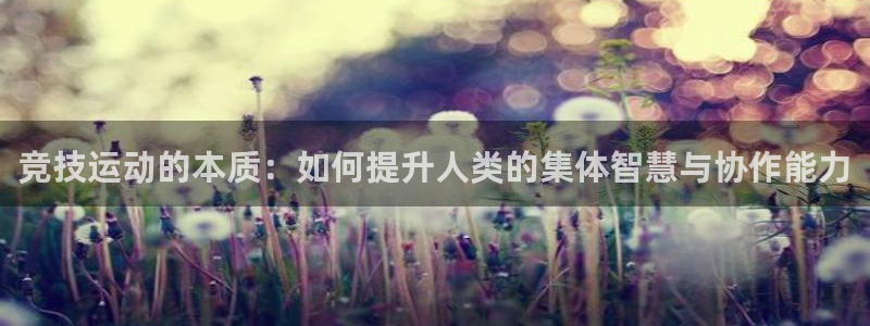 米兰体育登录：竞技运动的本质：如何提升人类的集体智慧与协作能力