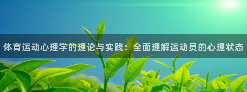 米兰体育网站：体育运动心理学的理论与实践：全面理解运动员的心理状态